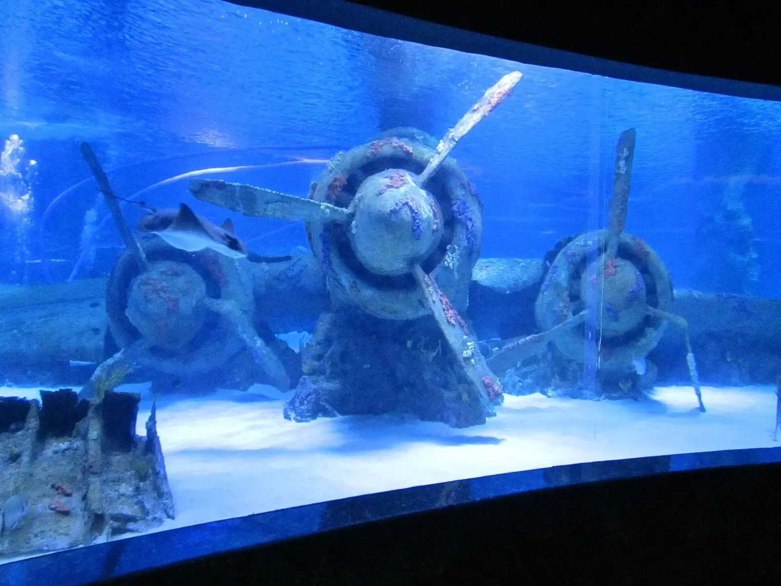 Het wrak van een vliegtuig in een groot bassin van het Antalya Aquarium