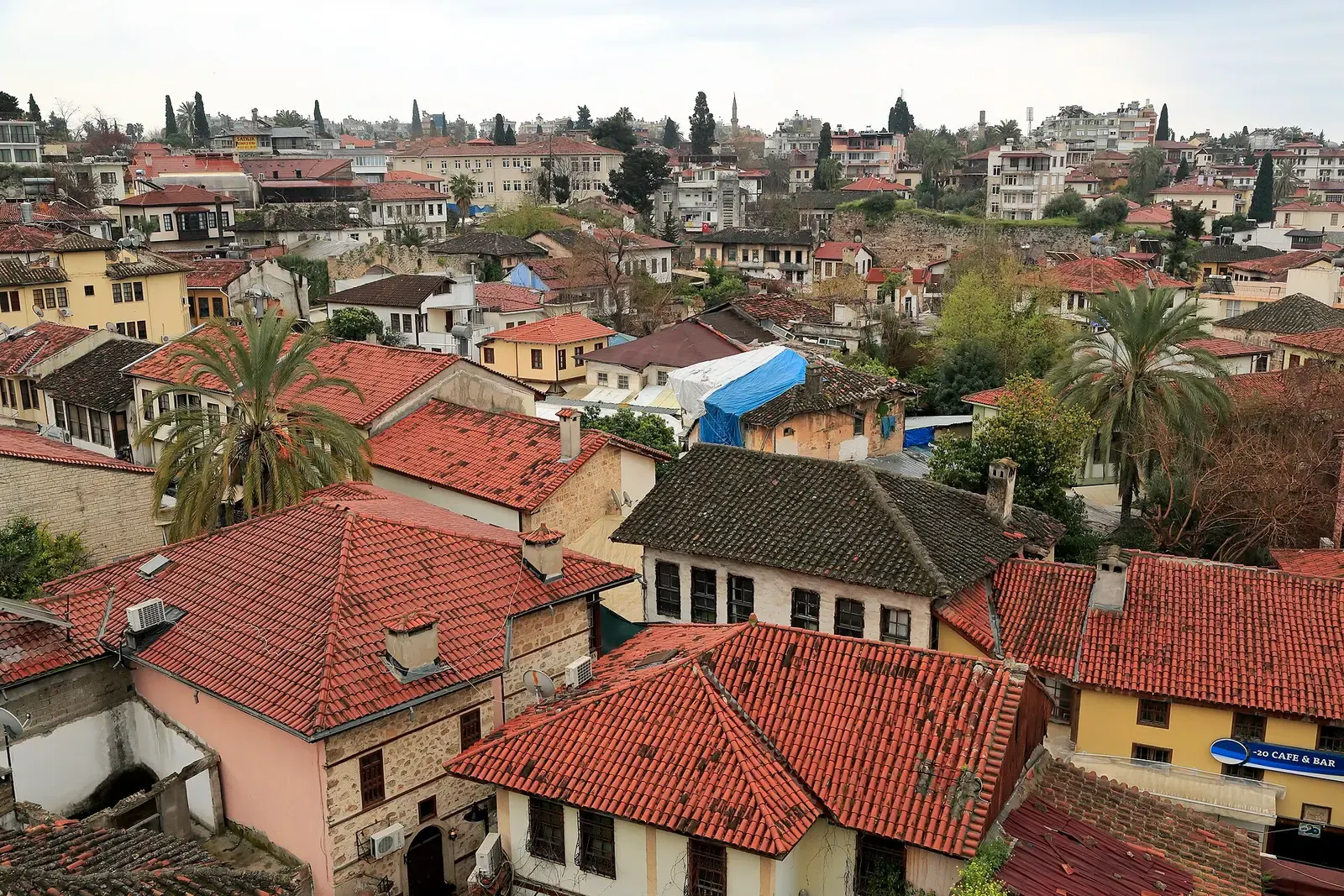 Dakenzee van rode pannen en palmen in de oude stad Kaleiçi van Antalya