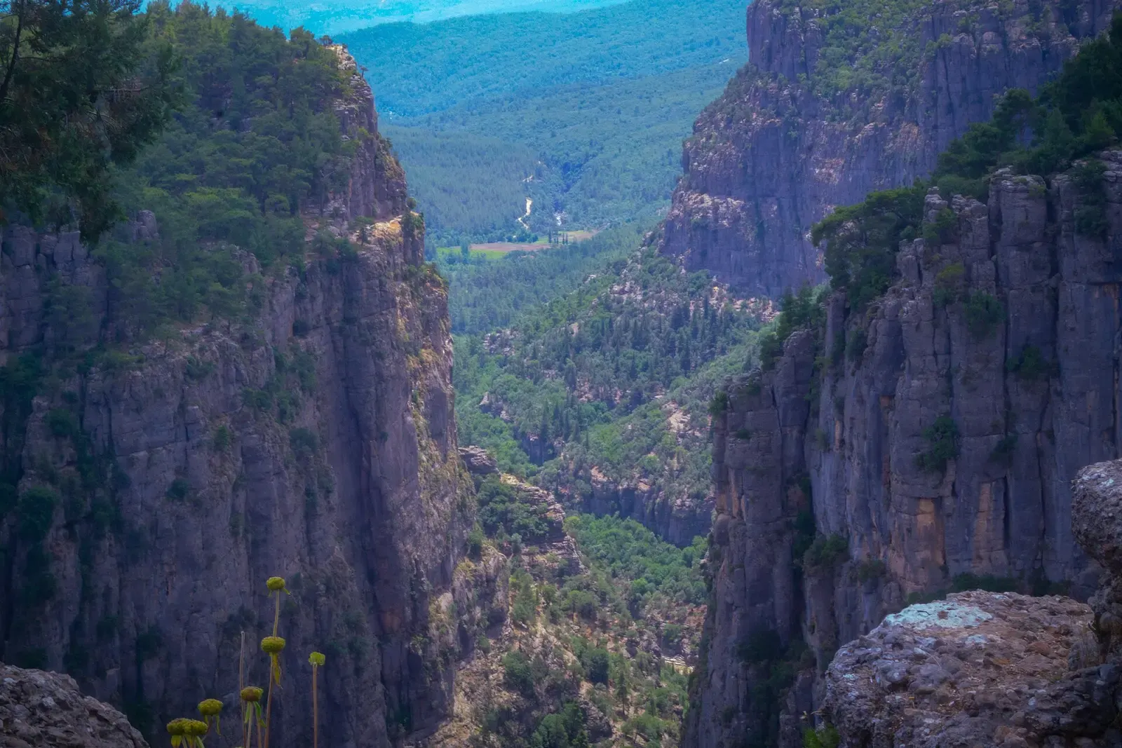 Steile rotswanden van de Tazı-kloof in nationaal park Köprülü Kanyon
