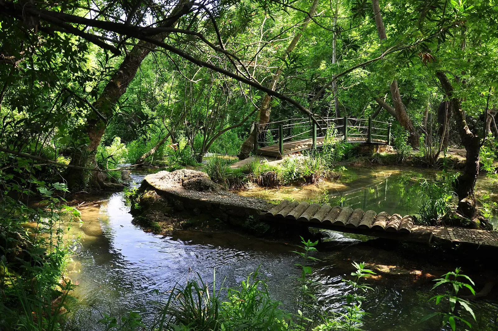 Houten vlonderpad langs het water in natuurpark Kurşunlu