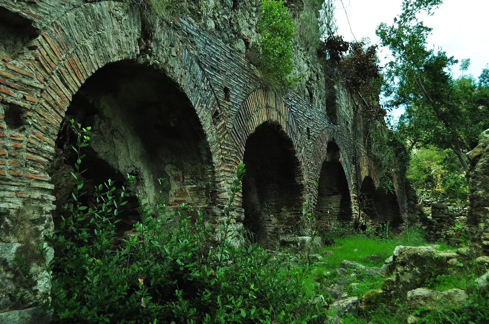 Overwoekerde bogen van het badhuis van Vespasianus in Olympos